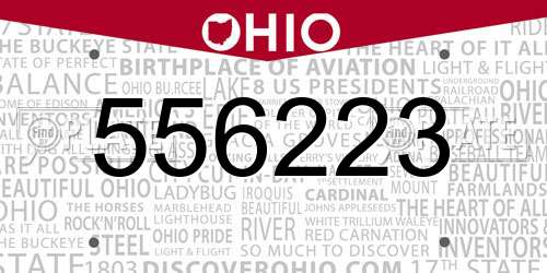 556223 Ohio License Plate