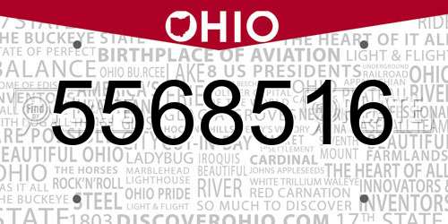 5568516 Ohio License Plate