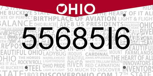 55685I6 Ohio License Plate