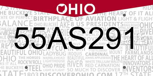 55AS291 Ohio License Plate