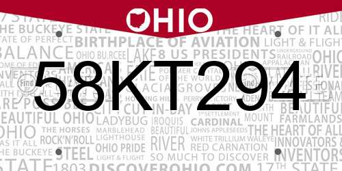 58KT294 Ohio License Plate