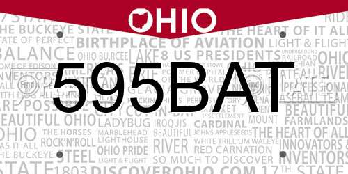 595BAT Ohio License Plate