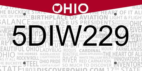 5DIW229 Ohio License Plate