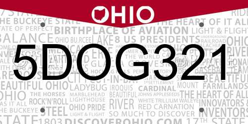 5DOG321 Ohio License Plate