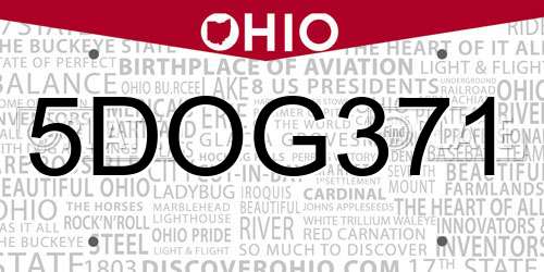 5DOG371 Ohio License Plate