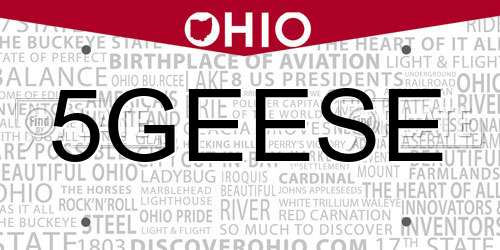 5GEESE Ohio License Plate