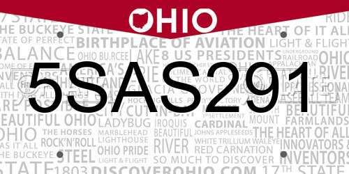 5SAS291 Ohio License Plate