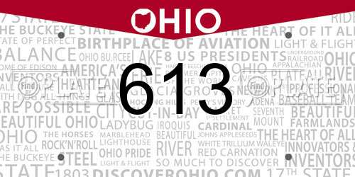 613 Ohio License Plate