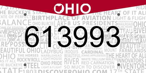613993 Ohio License Plate