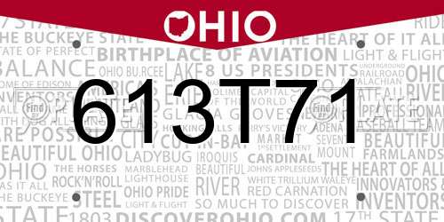 613T71 Ohio License Plate