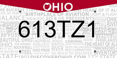 613TZ1 Ohio License Plate