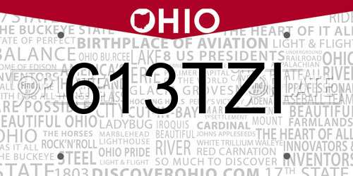 613TZI Ohio License Plate