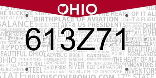 613Z71 Ohio License Plate