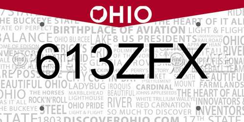 613ZFX Ohio License Plate