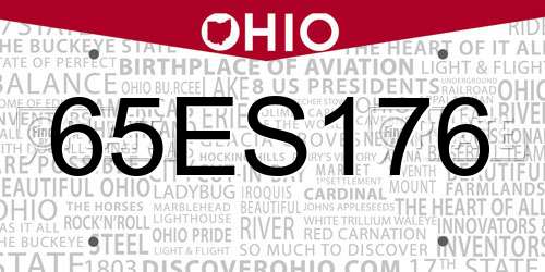 65ES176 Ohio License Plate
