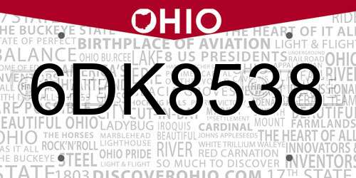 6DK8538 Ohio License Plate