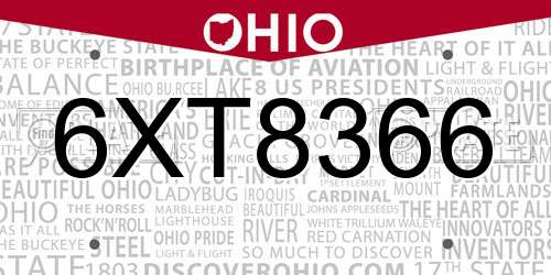 6XT8366 Ohio License Plate