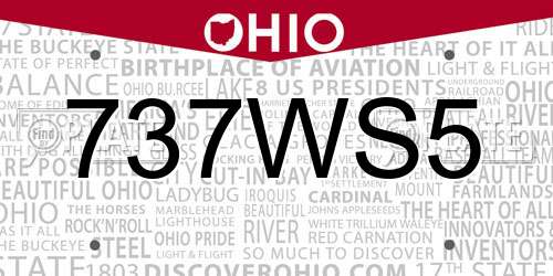 737WS5 Ohio License Plate