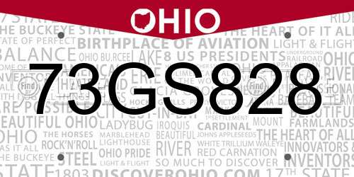 73GS828 Ohio License Plate
