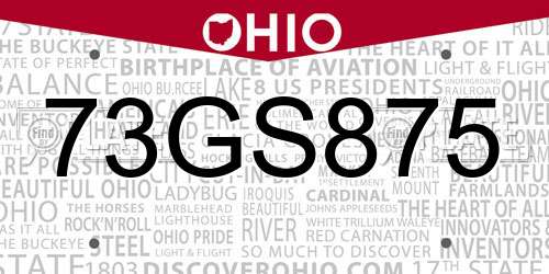 73GS875 Ohio License Plate