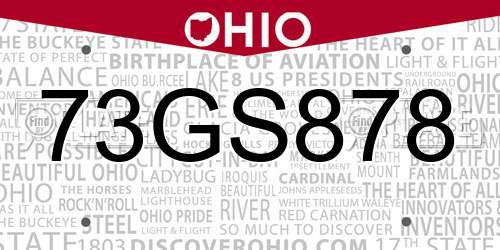 73GS878 Ohio License Plate