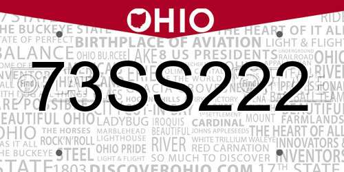 73SS222 Ohio License Plate