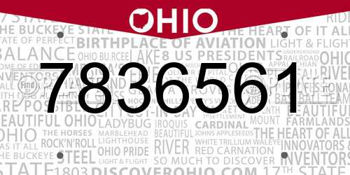 7836561 Ohio License Plate