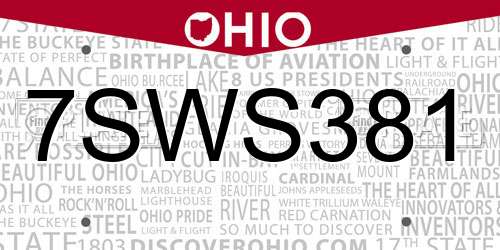 7SWS381 Ohio License Plate