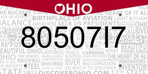 80507I7 Ohio License Plate