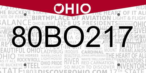 80BO217 Ohio License Plate