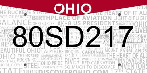 80SD217 Ohio License Plate