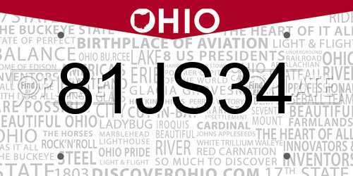 81JS34 Ohio License Plate