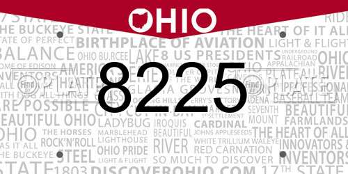 8225 Ohio License Plate