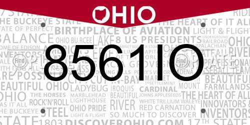8561IO Ohio License Plate