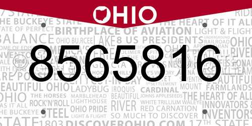 8565816 Ohio License Plate