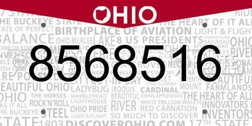 8568516 Ohio License Plate