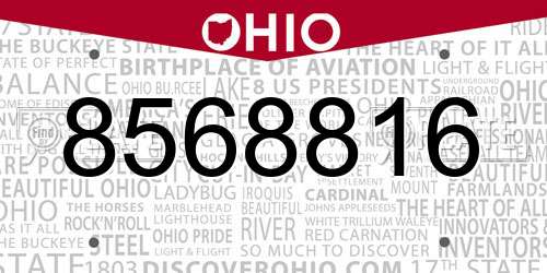 8568816 Ohio License Plate