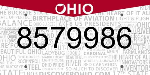 8579986 Ohio License Plate