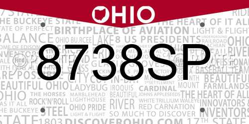 8738SP Ohio License Plate