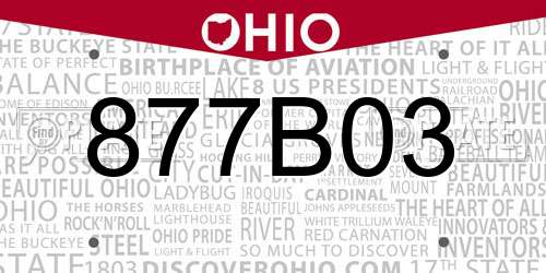 877B03 Ohio License Plate