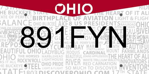 891FYN Ohio License Plate