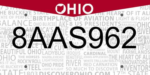 8AAS962 Ohio License Plate