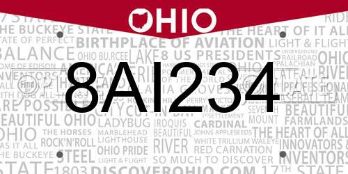 8AI234 Ohio License Plate