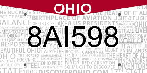 8AI598 Ohio License Plate