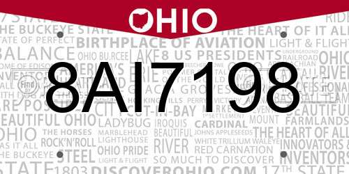 8AI7198 Ohio License Plate