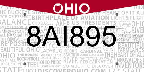 8AI895 Ohio License Plate