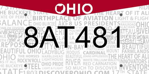 8AT481 Ohio License Plate