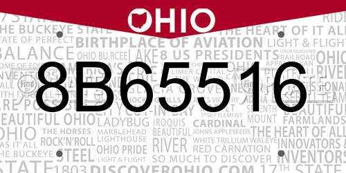 8B65516 Ohio License Plate