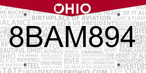 8BAM894 Ohio License Plate