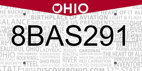 8BAS291 Ohio License Plate